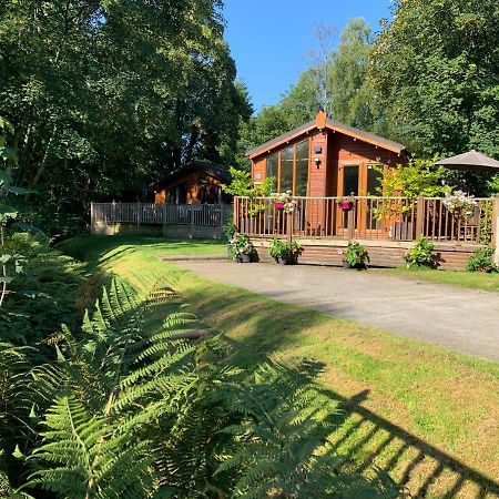 Tiggywinkle Beck Lodge Windermere Εξωτερικό φωτογραφία