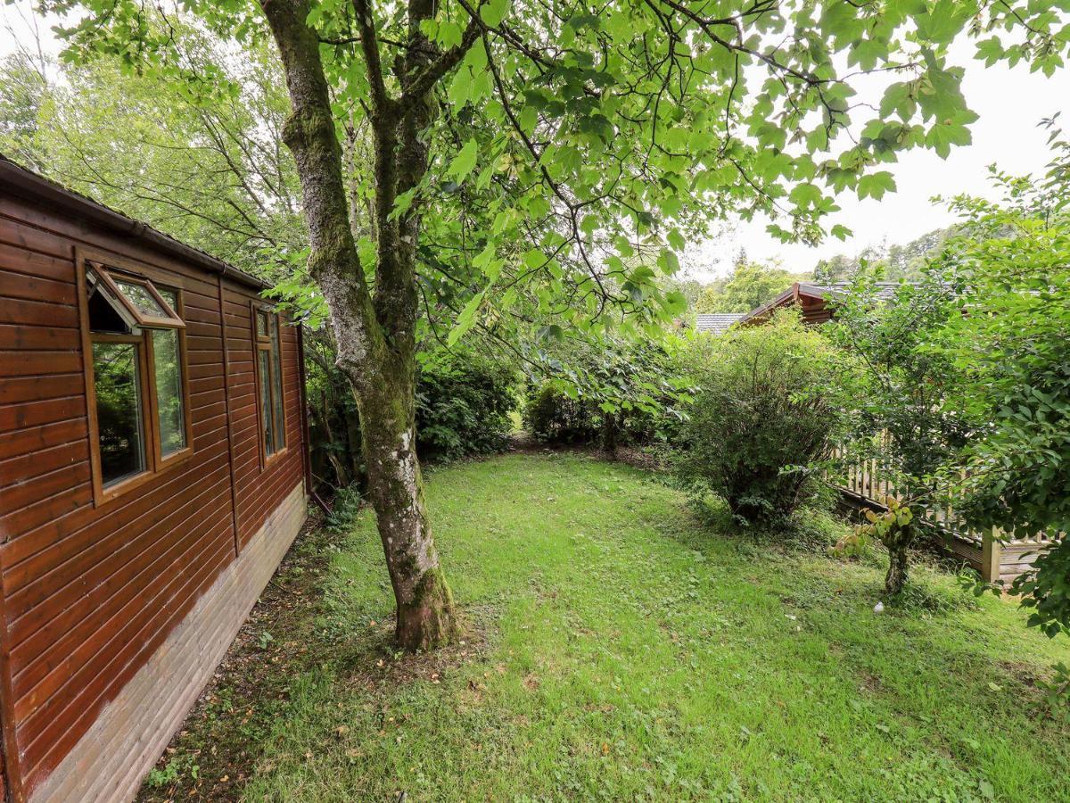 Tiggywinkle Beck Lodge Windermere Εξωτερικό φωτογραφία