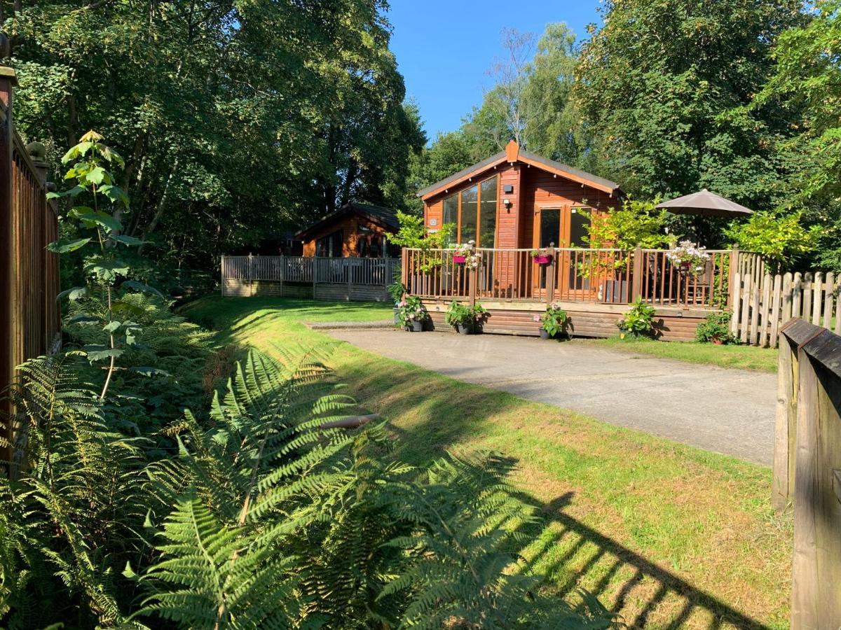 Tiggywinkle Beck Lodge Windermere Εξωτερικό φωτογραφία