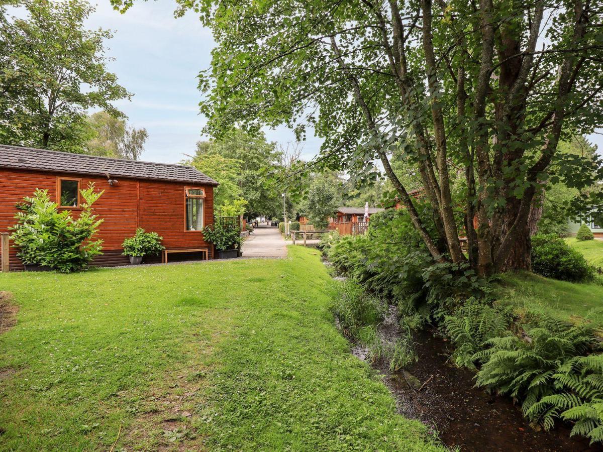 Tiggywinkle Beck Lodge Windermere Εξωτερικό φωτογραφία